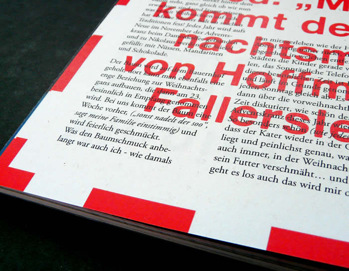 Portfolio / Projekt / Der Biesel / Editorial